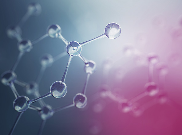 Étude de cas 1 - Lancement de marque